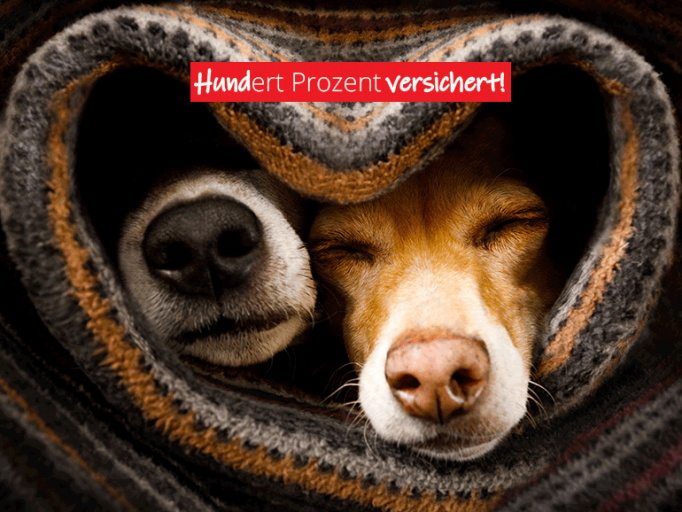 Startseite - LBN